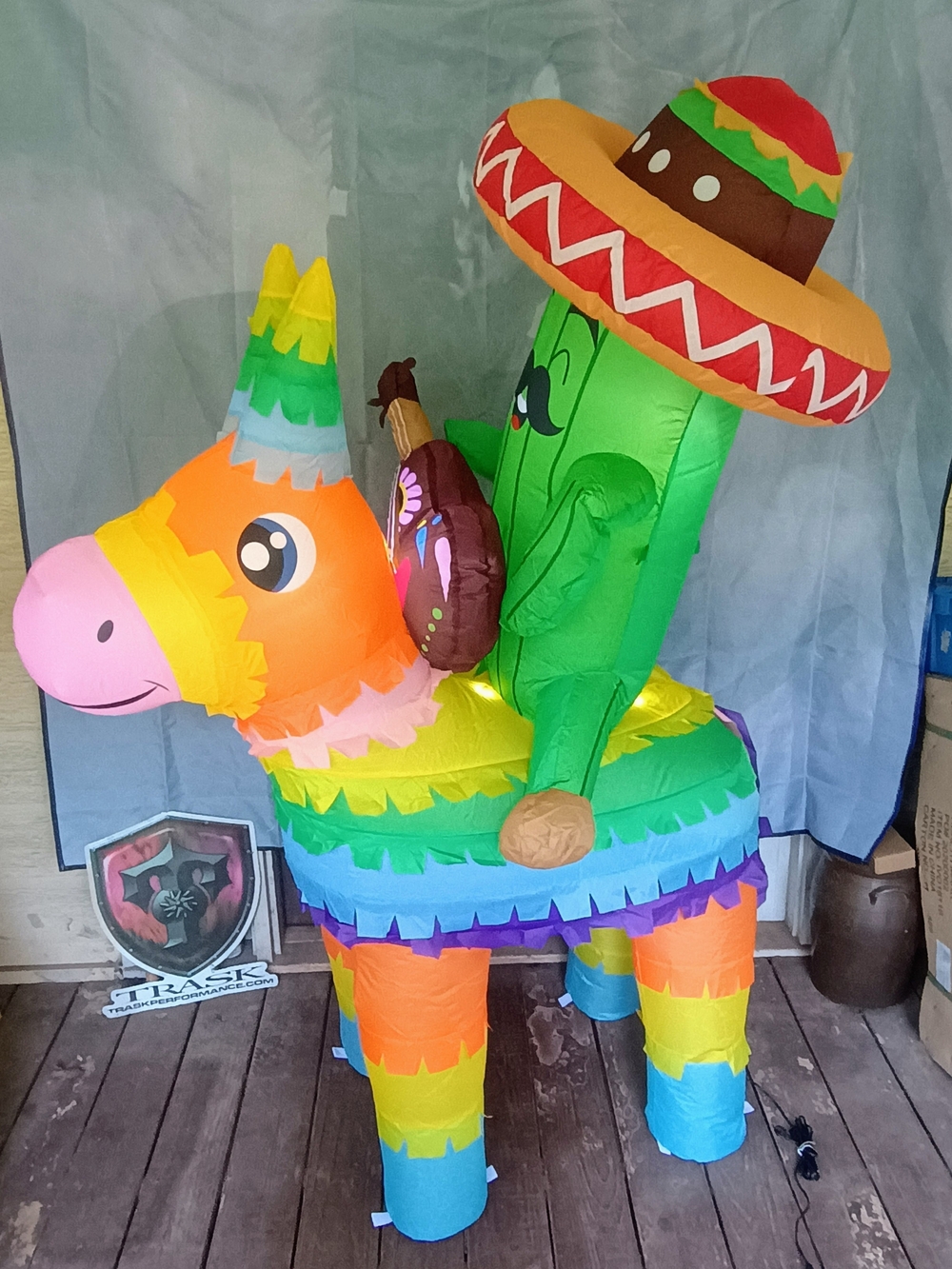 Inflatable Party Cactus Riding Piñata Toy -  Multicolor {NEW!!}